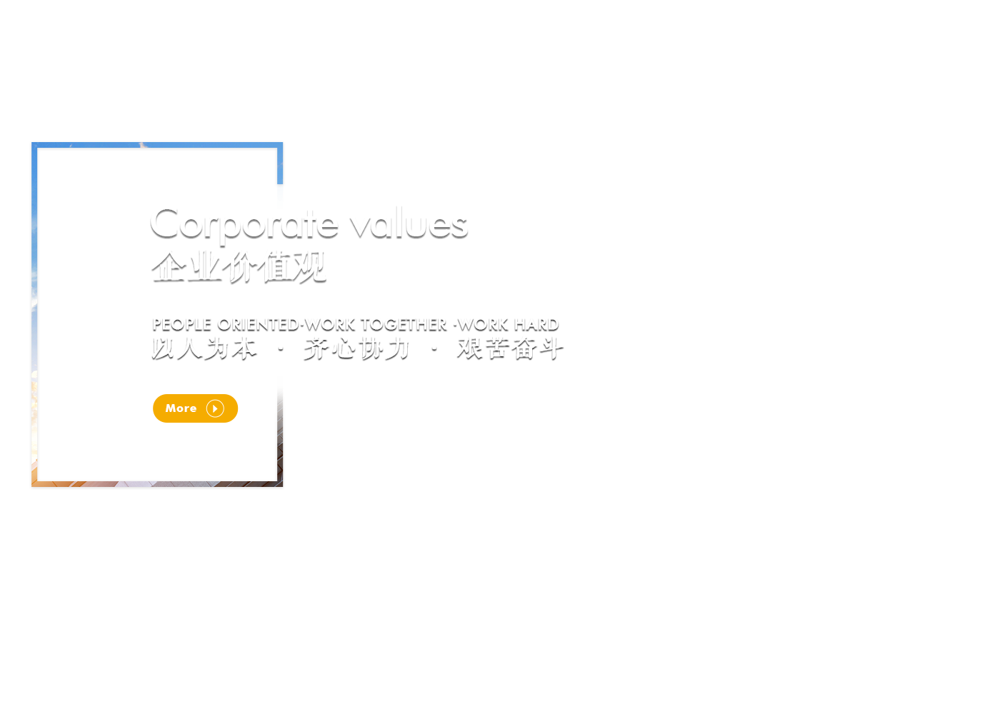 深圳市宝视佳科技有限公司