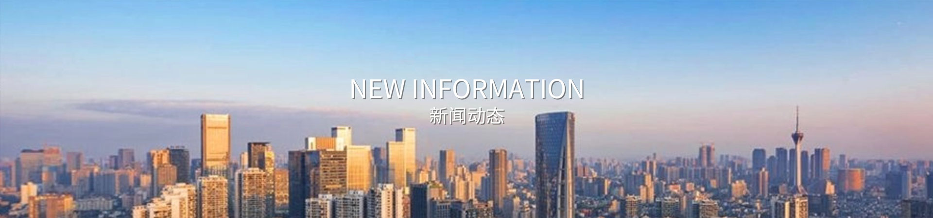 新闻动态